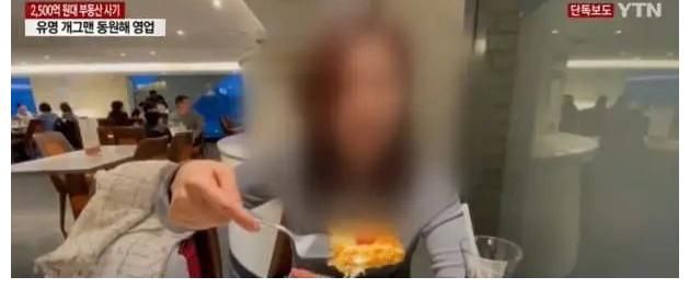 安秀美|少女时代泰妍被土地诈骗损失11亿！网友却讽刺她是投机失败