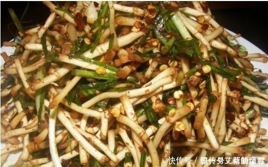 田坎|有种野菜生长在田坎上，挖回家凉拌生吃，比肉还香，吃过没？