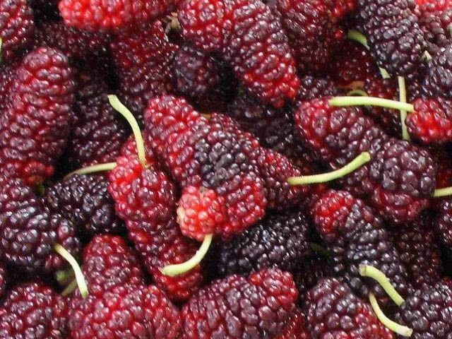 女人|女人再节俭，也不能不吃这3种“零食”，唤醒雌激素保护子宫！