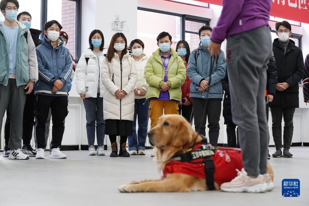 北京奥林匹克公园公共区志愿者场馆及岗位培训启动|走近冬奥| 北京邮电大学