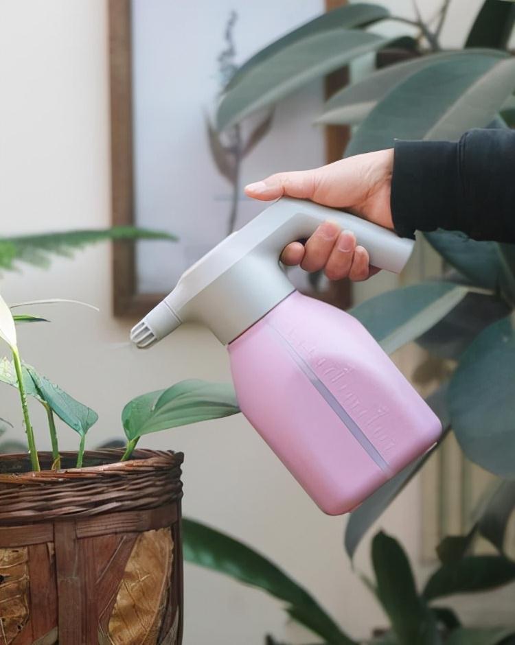 花盆里加几滴“它”,月季,茉莉,栀子花再也不黄叶