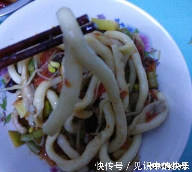 博士老公做的菜,连狗都不吃,再也不让他进厨房了?