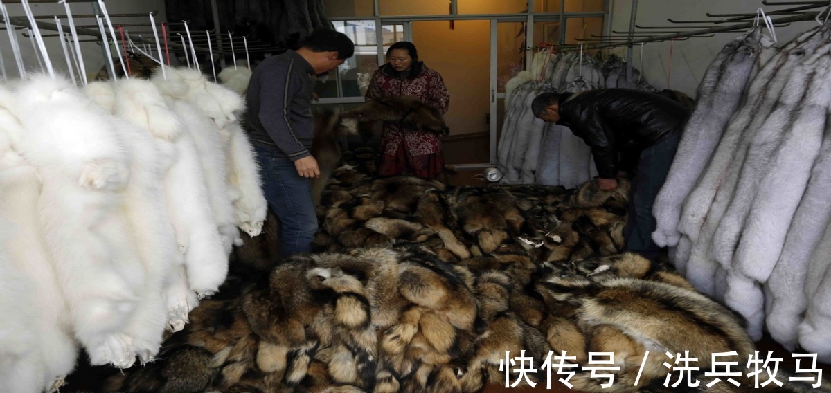 商场|上千家企业倒闭,曾经被“抢着买”的皮草,为何现在却卖不动了?