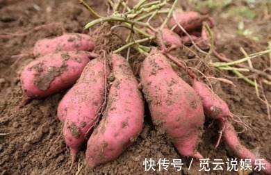 甘薯酮|长寿老人从来不吃的几种食物，有很多人傻傻还在吃，特别是它！