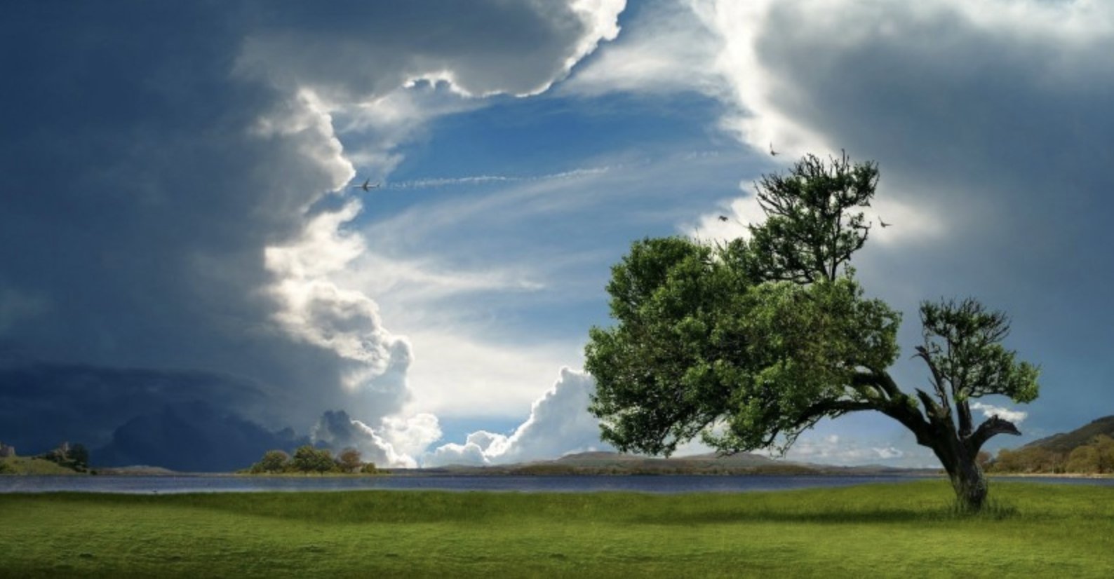 苦与累|独善其身,活出了大格局的星座,看似没有主见,实则活得通透睿智