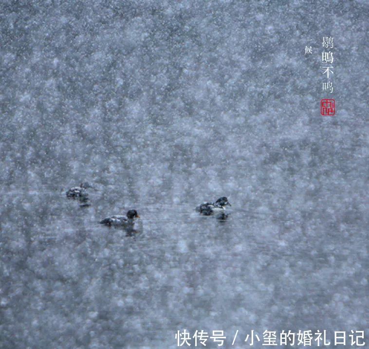 大雪|大雪丨大雪至,寒冬始