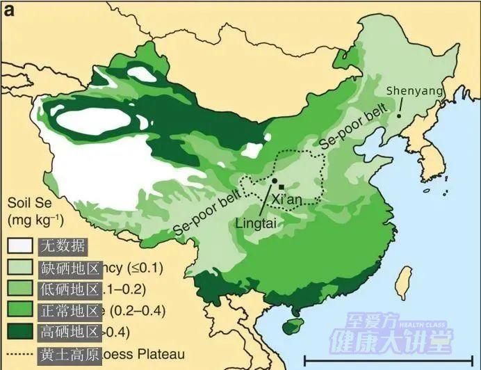 健康大讲堂——硒与儿童成长的密切关系