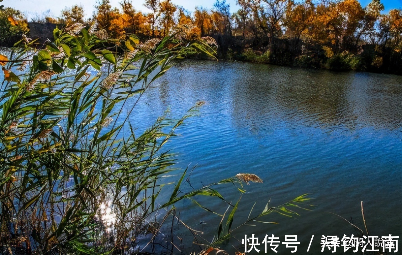 觅食|为何你在秋天钓不到鱼？别人却收获满满，原来是你忽视了天气因素