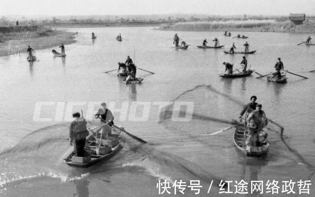 油菜籽|荆州松滋市五六十年代老照片