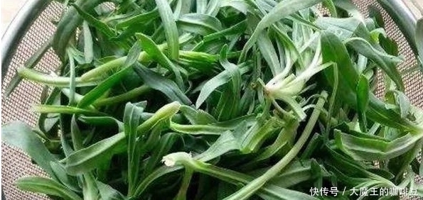 春季不可不食的6大野菜，改善膳食结构营养价值高，尝尝鲜足以！