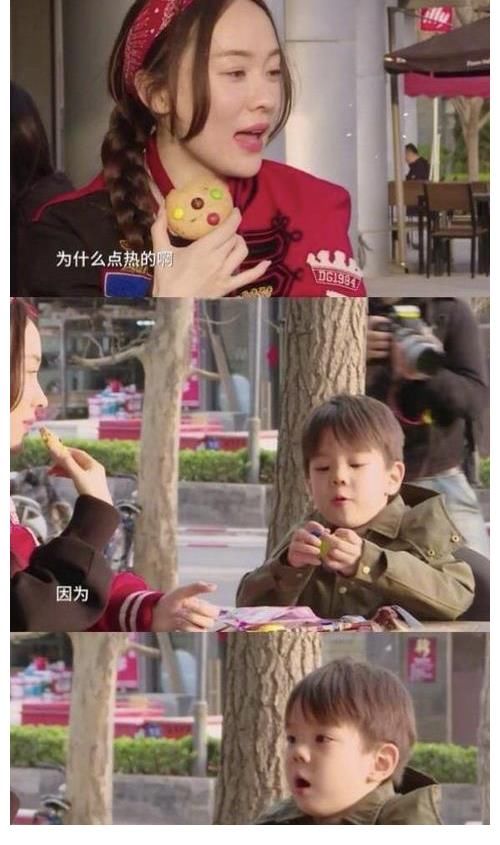 陈小春|这些明星的孩子你羡慕吗?有钱颜高,双商在线,星二代你Pick谁?