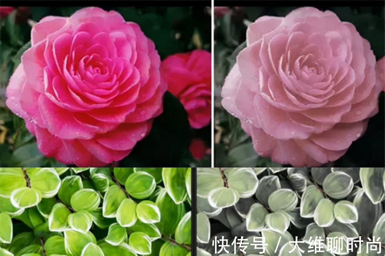 穿搭 会穿的是能手,会选色是高手,40+女人穿低饱和度颜色就会更高级