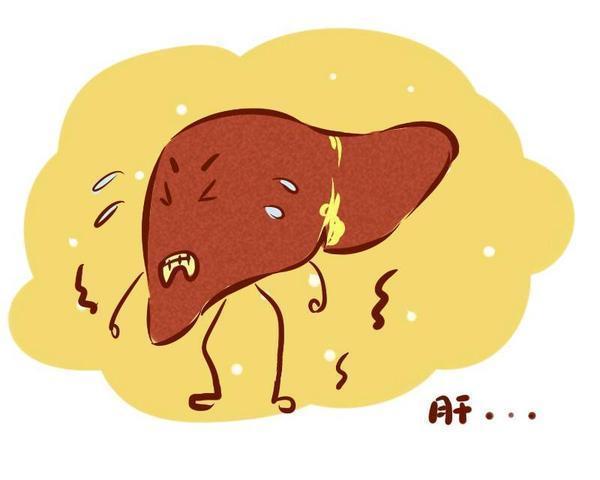 运动|脂肪肝会恶化成肝癌吗?提醒:要想抑制脂肪肝,生活中做好3件事