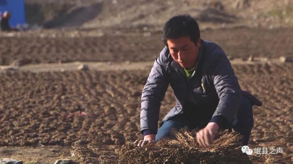 岷县的春夏秋冬，看不够！