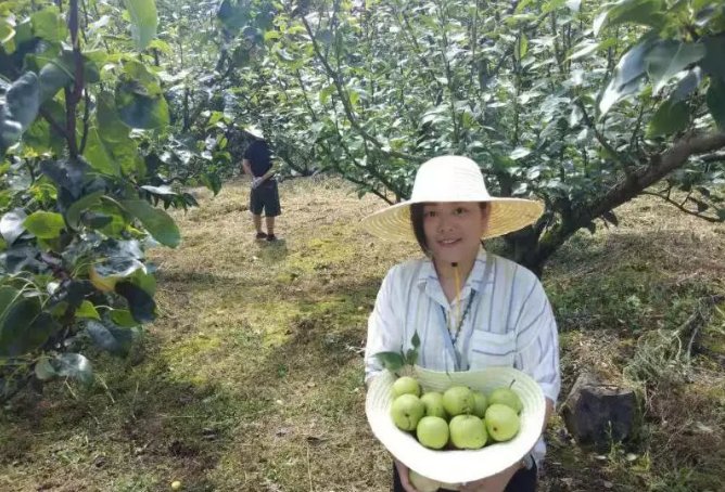 浙江省|29 剑瓷名城 天下龙泉自驾游