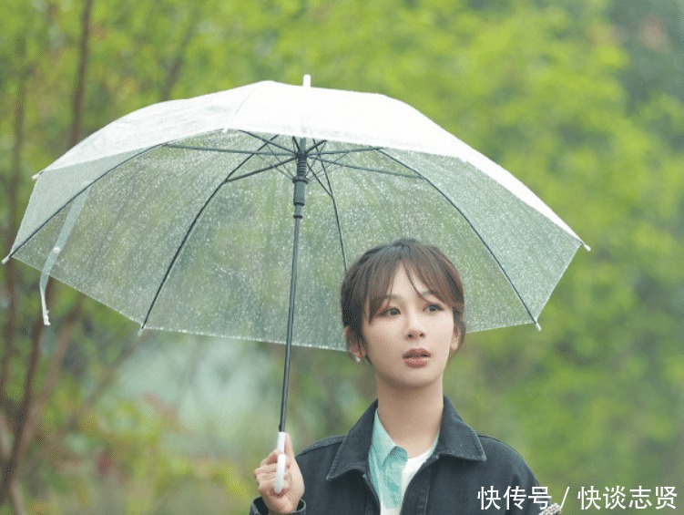 陈赫 《向往5》小算盘落空,杨紫离开节目后,老友记播放次数直线下降