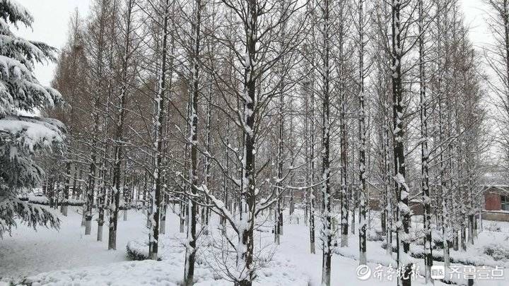 周青先|威海荣成今冬首场暴雪，航拍城市景象美如童话