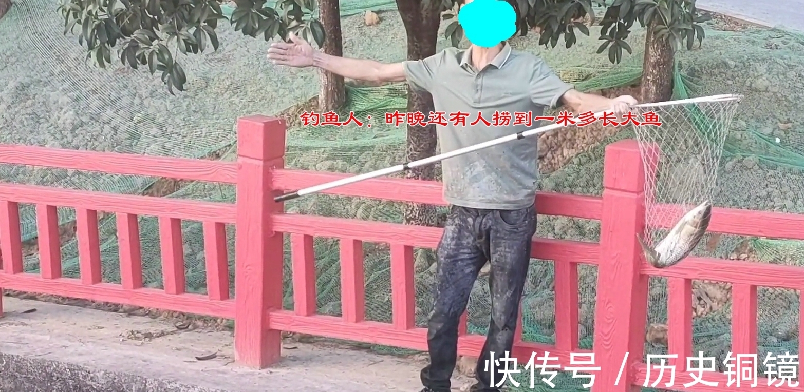 有人毒鱼？浙江钓鱼人河边夜钓，忽然河面大量鱼群浮头