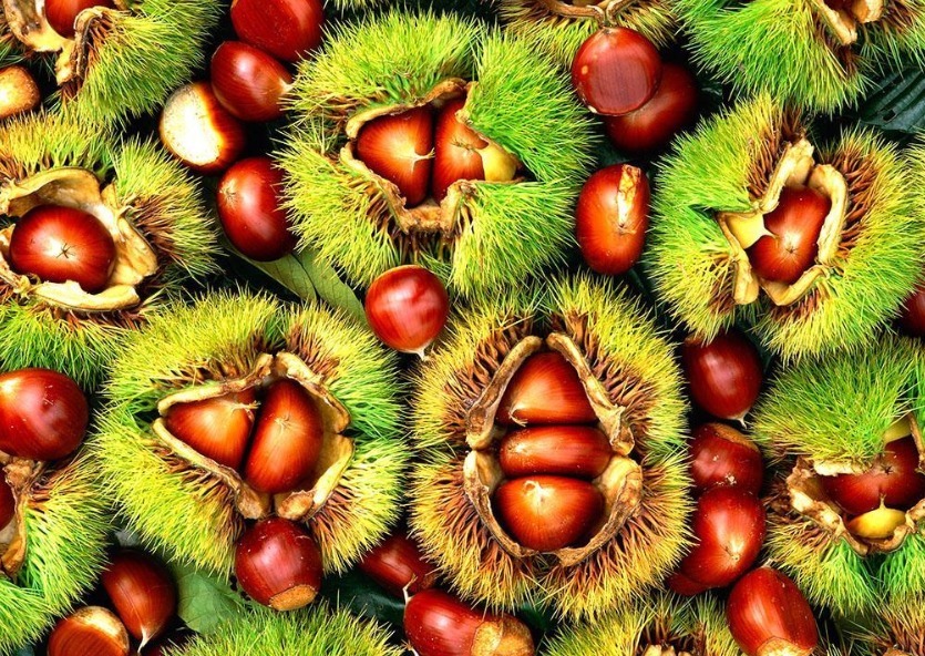 碳水化合物|栗子和此物一起煮,失眠好了,大肚子平了,不想每天疲惫不堪试试