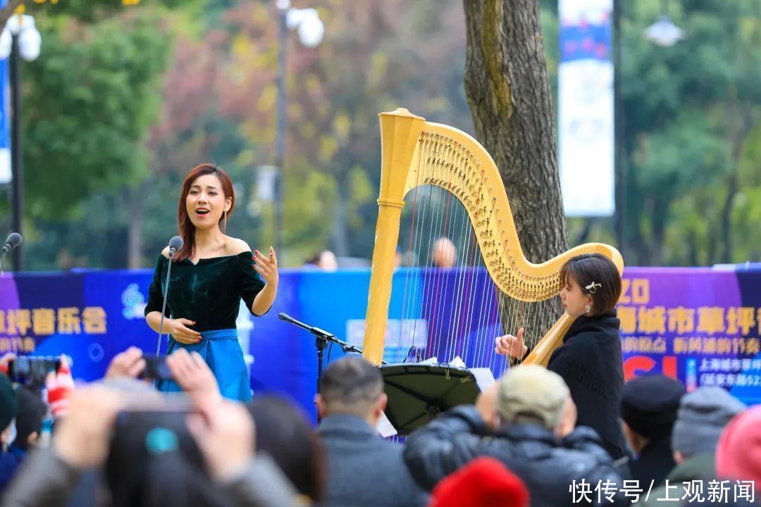  银杏|超唯美！一起在冬日听一场“银杏音乐会”