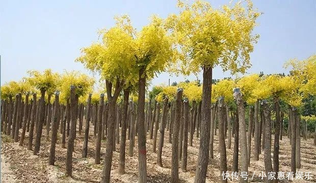 云和村落｜赤石这里藏了座最美村庄 古老静谧治愈人心