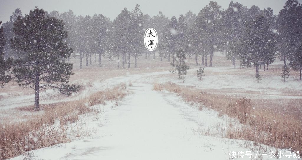 清明|农村俗语: “大寒脱衣裳, 清明雪打秧”是什么意思呢? 准不准确?