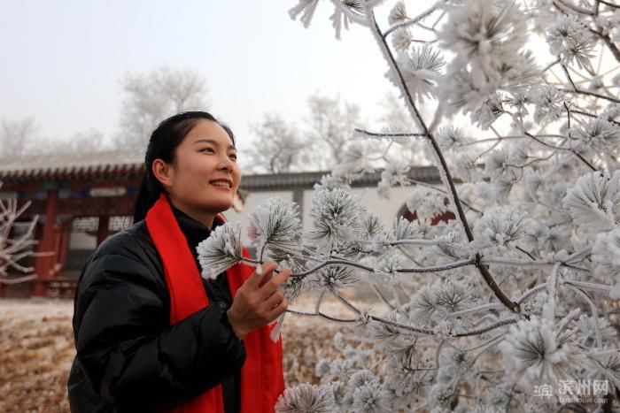 美极了！无棣古城雾凇美景 宛如冰雪世界