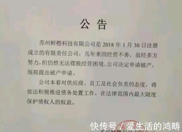 供货商|拖欠货款上亿元！国内社区团购巨头宣告破产，阿里还会继续吗？