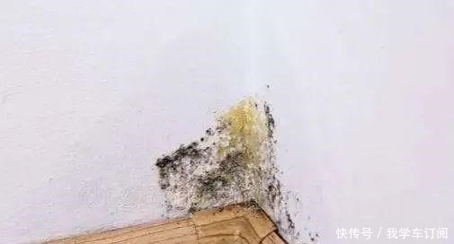 开发商|装修完不久，新家变成了这样，欲哭无泪！装修完不久，新家变成了这样，欲哭无泪！