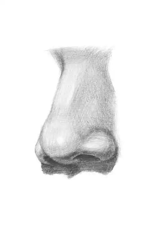 鼻孔@零基础素描教程:分步骤讲解34侧面鼻子画法,简单易学,快临摹
