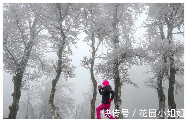 吃水饺|冬至将至,记得“吃3物,忌2事”,家人健康又平安