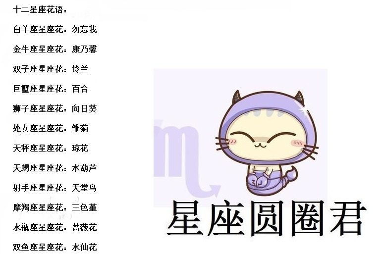 十二星座达人 十二星座最佳恋人组合 十二星座花语 粉紫色 十二星座达人 十二星座最佳恋人组合 十二星座花语 粉紫色