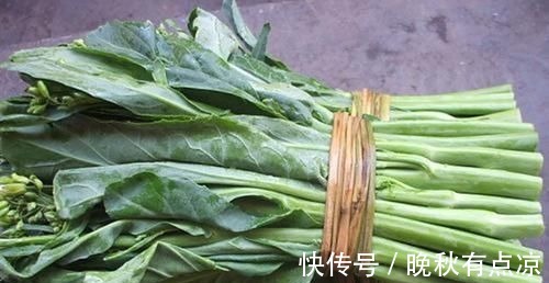 马齿笕|5种让人头疼的“害草”，个个都是“抗癌王”，比蒲公英好100倍