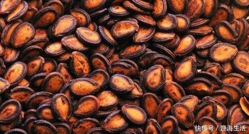 五香瓜子|高血压的人有福了常吃此物,利肺润肠,止血降压,预防动脉硬化