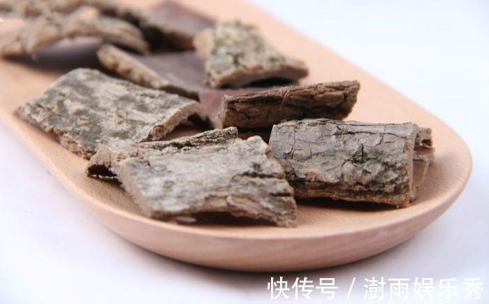 猪腰子|一味“补筋”的中药！止筋疼，治筋软，续筋断，善解腰腿筋伤
