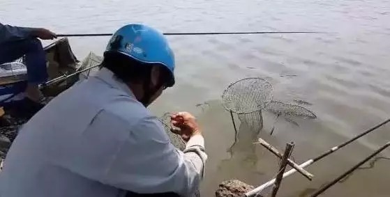 冬钓打窝四大口诀 不要外传的,只管自己钓得盆满钵满!