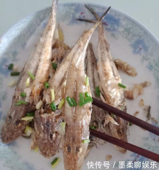 孩子|天然“补脑菜”找到了,孩子多吃,提高记忆力,学习考试都轻松