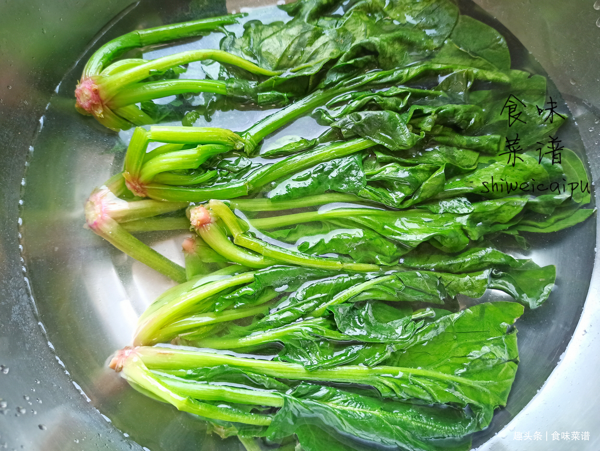 适合伏天吃的3种包子馅,应季蔬菜一元一斤,馅大皮薄,鲜香可口