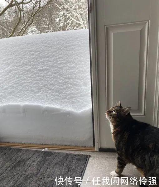 纽约州天降暴雪足足一米厚！车和房全都被埋了，只剩白茫茫！