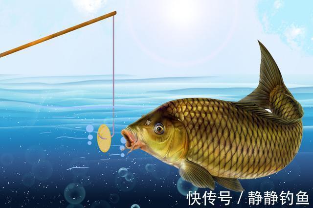 冬钓鱼不开口怎么办?老钓手传授三个逗钓技巧,简单实用,莫泄密