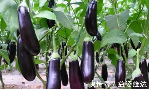 维生素b1|每天晚上坚持吃3种食物,排毒养颜、改善肤质,早吃早好!