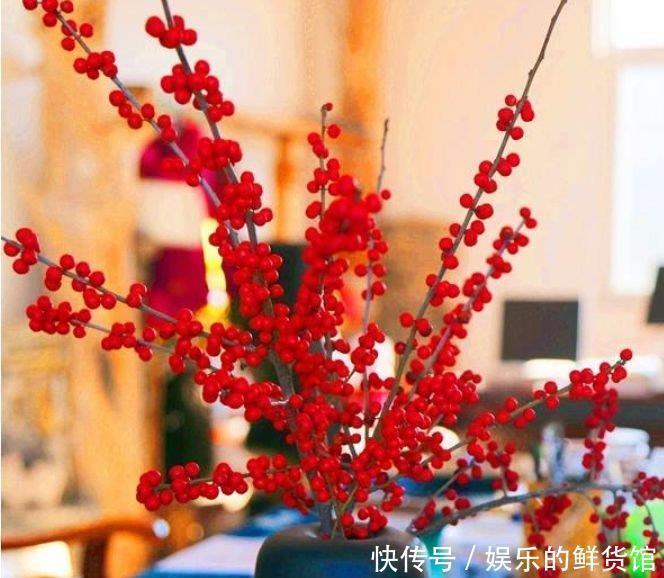 4种花寓意好,家里养一盆,增福又纳财,养100盆也不嫌多!