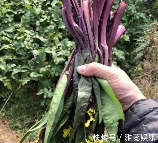 蔬菜|女性不想显老,不妨多吃以下3种蔬菜,补血养颜,气色会更好!