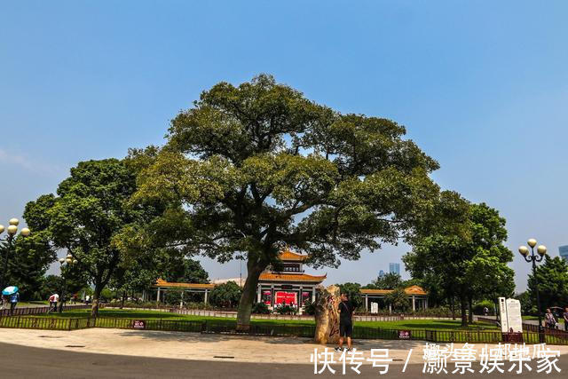 岳麓山|因一首诗而大火，被誉为中国第一州 游客看后不虚此行连声称赞