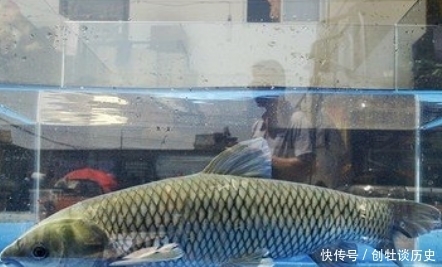  冬天吃鱼，专挑4种鱼，应季而食营养高味道好，买的都是聪明人！