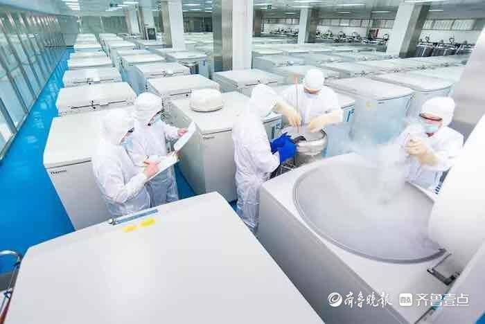 患儿|12岁重型再障患儿因自存脐血而得救