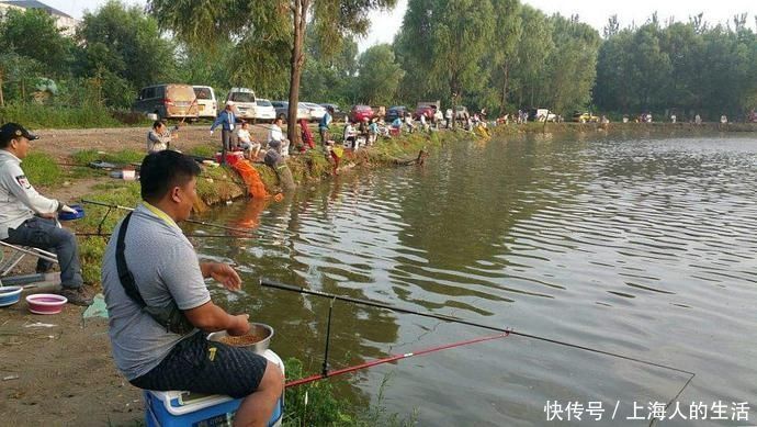 鱼饵|没想到鸡蛋也能用来做鱼饵,而且钓鱼效果那么好