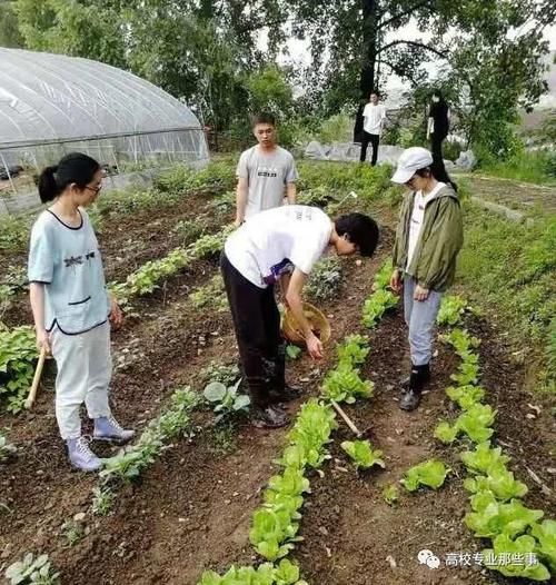 浙大首开劳育通识课：本科生都得下地干活当“农民”，怎么样？