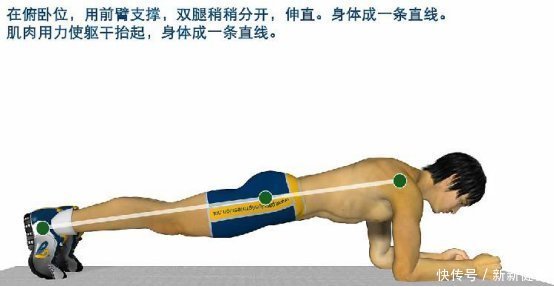 肌群|坚持平板支撑30天,身体会发生惊人变化,让我们一起来学习一下
