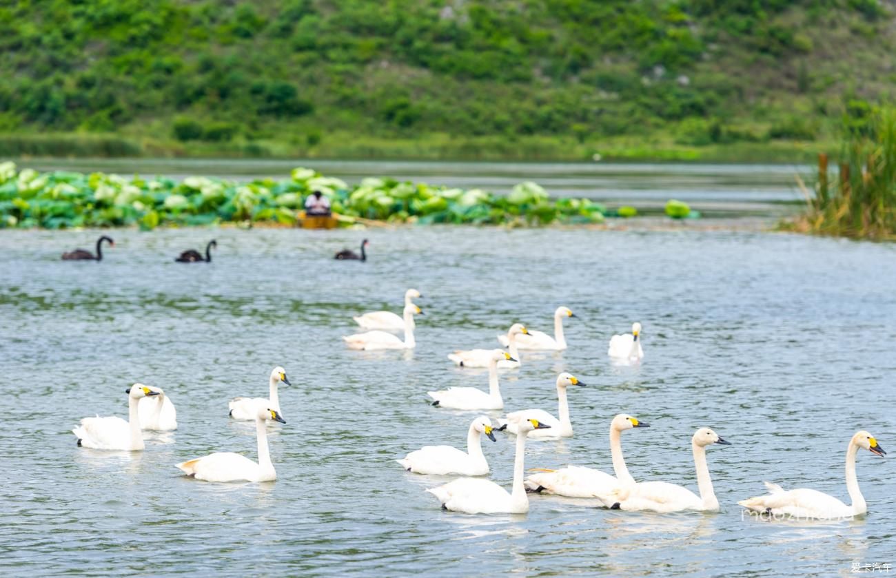 温泉水公园|遇见多彩滇东南，阳宗海、九乡、石林、普者黑自驾五日游